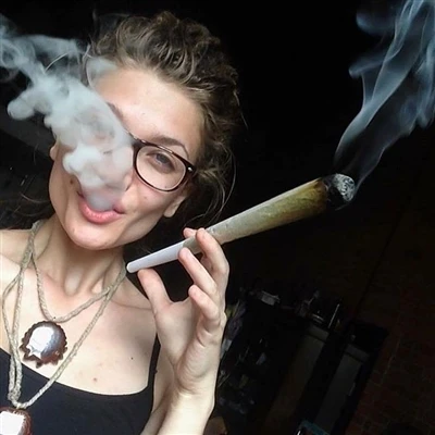 Preroll di cannabis: Guida di settore per produttori e rivenditori (2025)